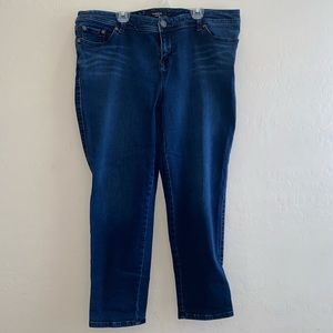 Torrid Denim Jeans